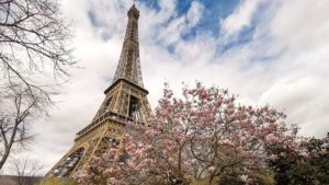 Lire la suite à propos de l’article Tour Eiffel